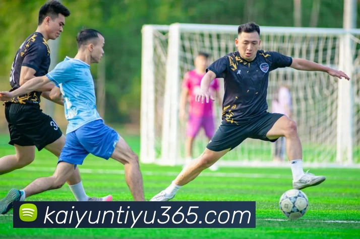 开云首存彩金平台生态图